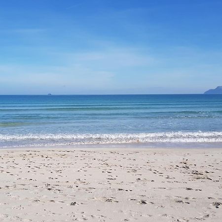 Ideal Property Mallorca - Sa Vinya Vella アルクディア エクステリア 写真