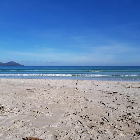 Ideal Property Mallorca - Sa Vinya Vella アルクディア エクステリア 写真