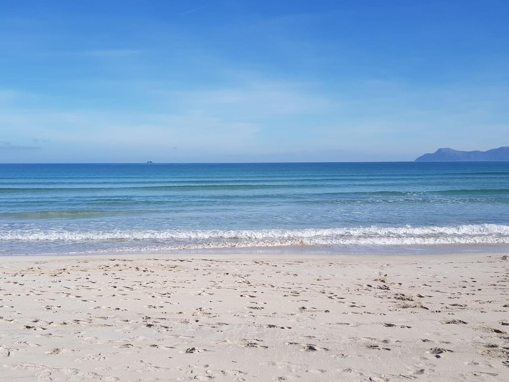 Ideal Property Mallorca - Sa Vinya Vella アルクディア エクステリア 写真